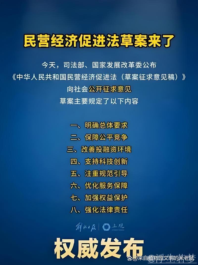 以高水平法治护航民营经济发展